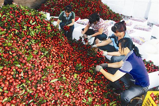 農(nóng)改2 農(nóng)改2