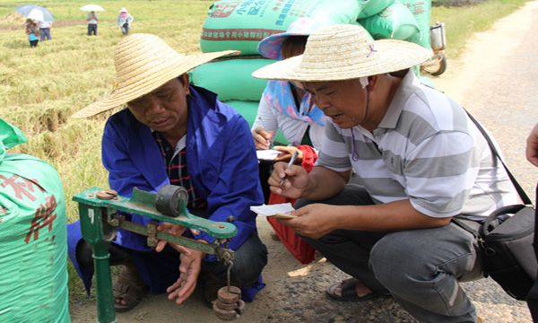 首屆科技興農(nóng)創(chuàng)高產(chǎn)圖片2 首屆科技興農(nóng)創(chuàng)高產(chǎn)圖片2