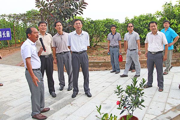 w020150908549369658960