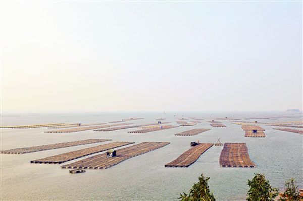 w020150916276435712266 w020150916276435712266