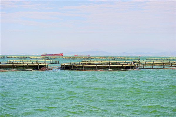 w020150916276435719607 w020150916276435719607