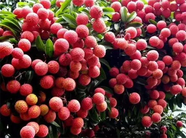 c6dd5234-859e-4c90-b246-d6a41b05146b