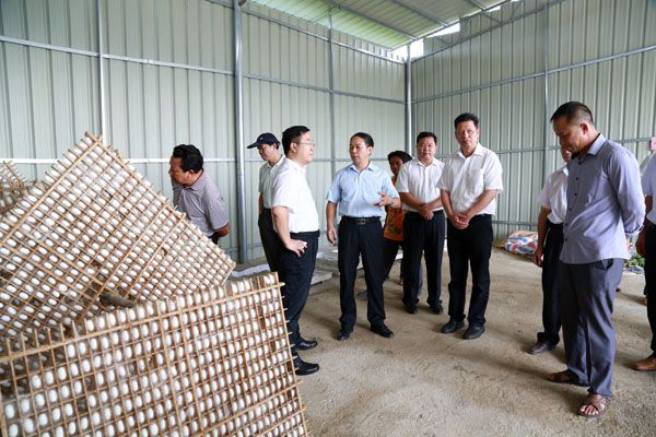 1030參觀象州中平鎮(zhèn)大架村蠶桑產業(yè)基地 