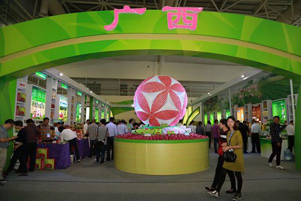 1110廣西火龍果瑪卡龍大繡球非常奪目