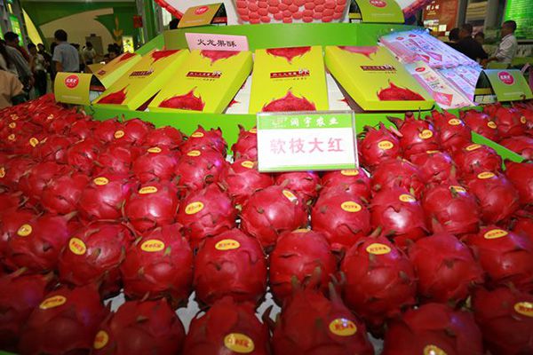 11110原生態(tài)火龍果及各種火龍果深加工產(chǎn)品