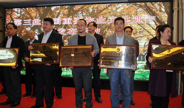 11.18廣西代表（右二）接受頒發(fā)牌匾