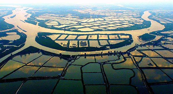 　廣西欽州市郊區(qū)的蝦塘（2015年10月21日攝）。