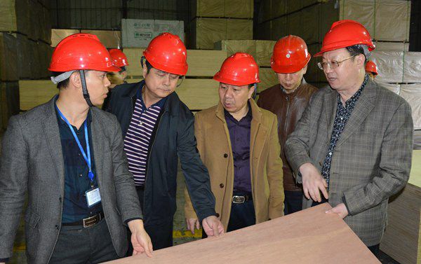 博白林場1 博白林場1