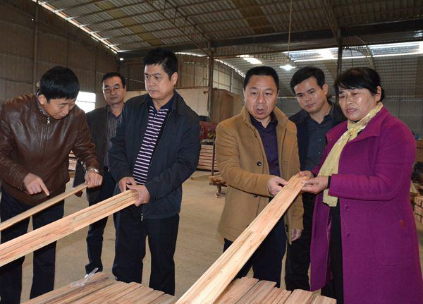 博白林場2 博白林場2