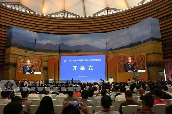 開幕.webp 開幕.webp