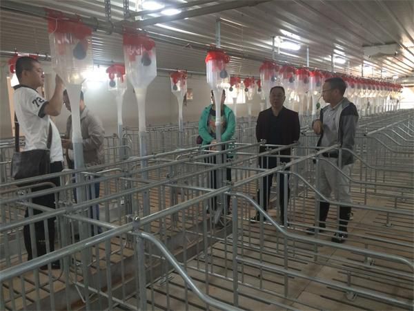 微信圖片_20171107175728 微信圖片_20171107175728