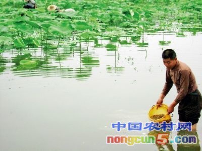 091054345821 091054345821