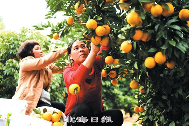 2017122808311908372120 2017122808311908372120