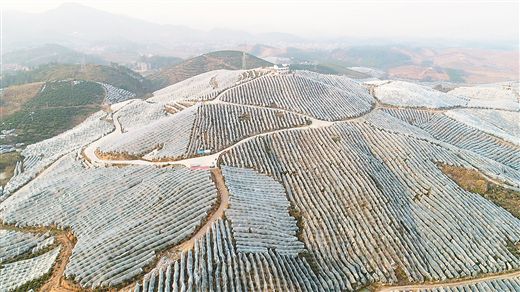 w020180108302056166034