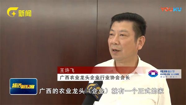 王許飛換屆 王許飛換屆