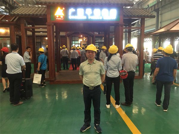 平果鋁2 平果鋁2