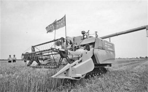 w020180608343734483733 w020180608343734483733