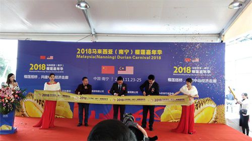 52195215289853927 52195215289853927