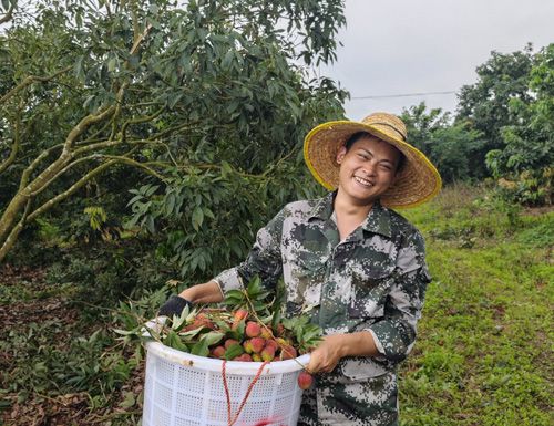 d716e25b-af03-42e9-841d-712ae52ed2d0 d716e25b-af03-42e9-841d-712ae52ed2d0