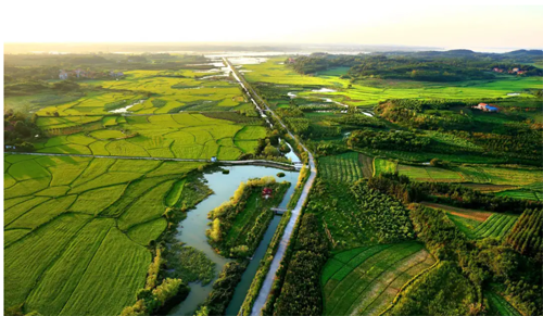 1_20250114170113_coypc 1_20250114170113_coypc