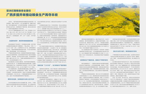 w020250113598955444314 w020250113598955444314