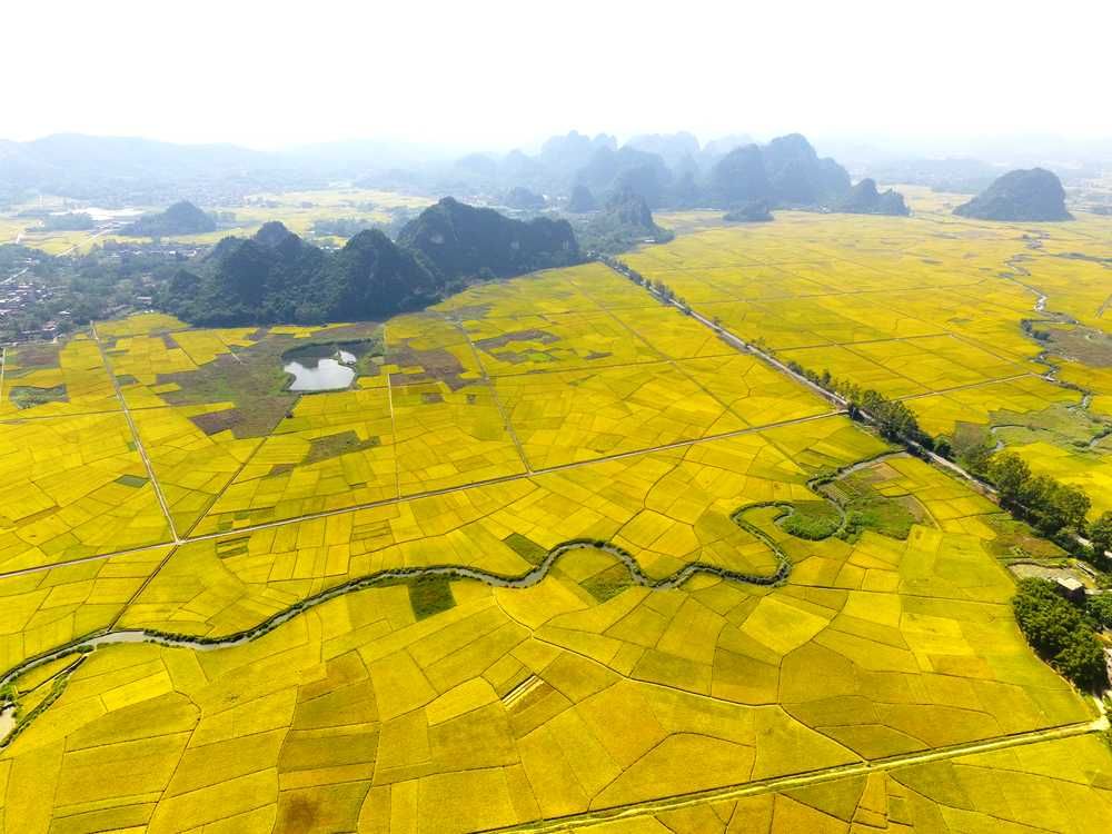 w020250113598956233580 w020250113598956233580